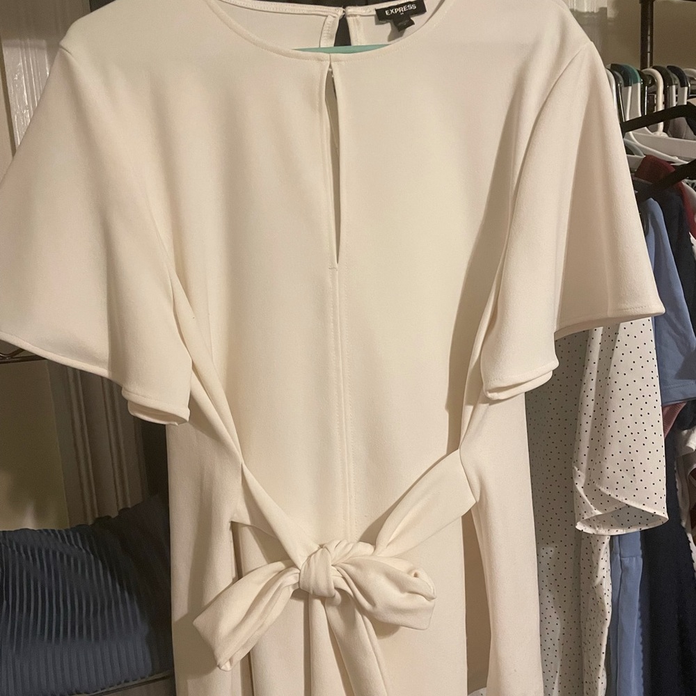 Express dress shirt